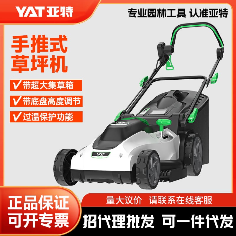 Before — product photo with flat appearance